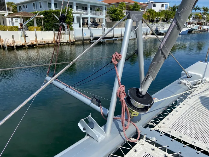 Slide: The Image of Leopard 42 2021 - 60