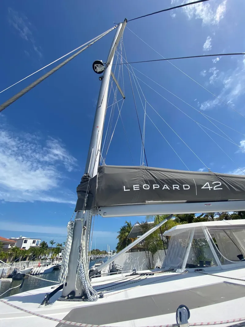 Slide: The Image of Leopard 42 2021 - 61