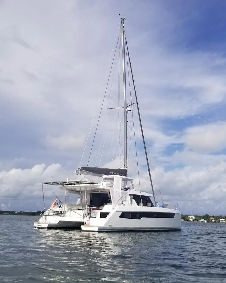 Slide: The Image of Leopard 42 2021 - 9