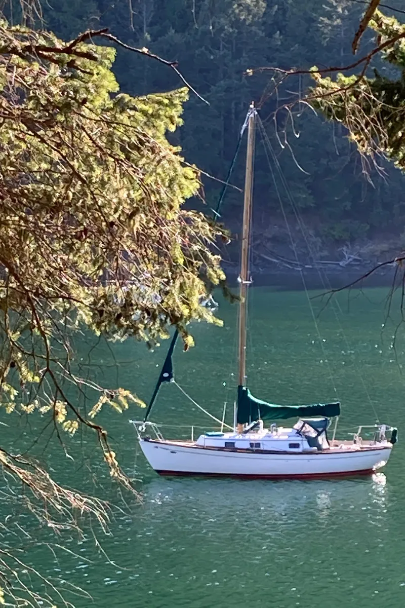 Slide: The Image of Cheoy Lee Offshore 32 1978 - 52