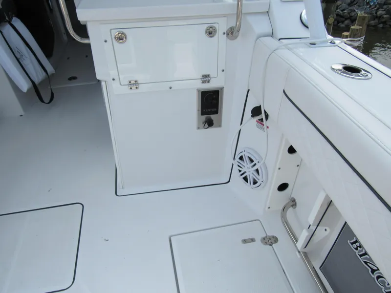 Slide: The Image of Blackfin 272 DC 2022 - 15