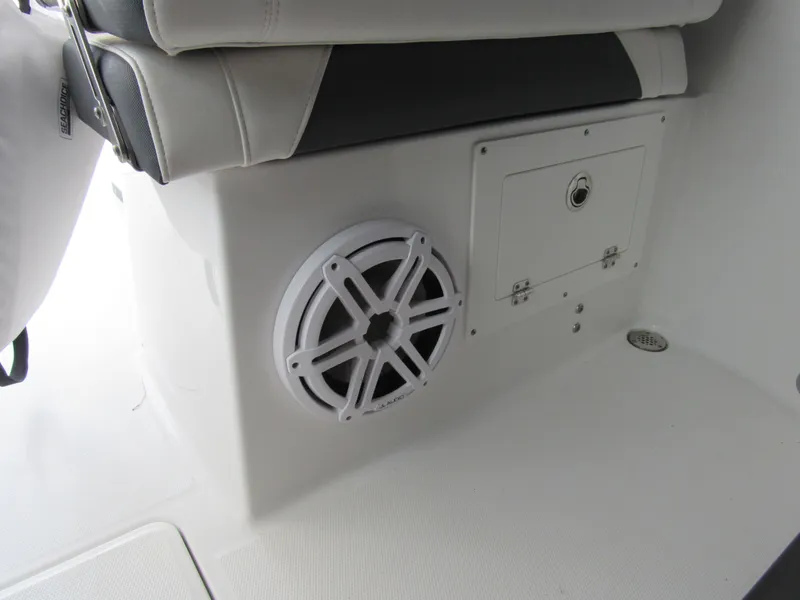 Slide: The Image of Blackfin 272 DC 2022 - 18