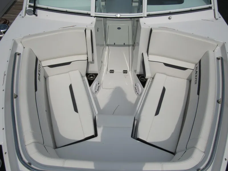 Slide: The Image of Blackfin 272 DC 2022 - 31