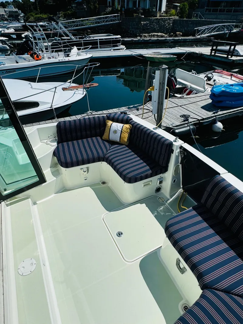 Slide: The Image of Back Cove 37 2017 - 30