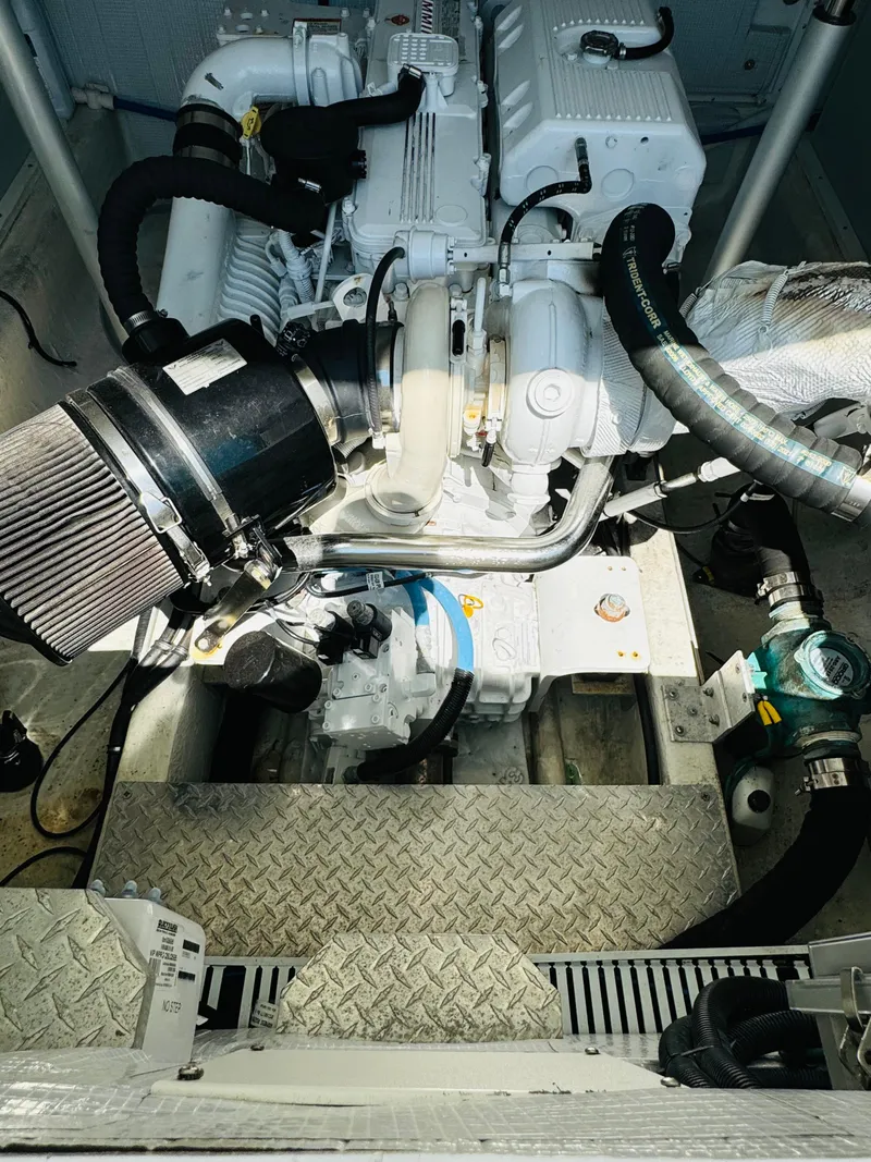 Slide: The Image of Back Cove 37 2017 - 34