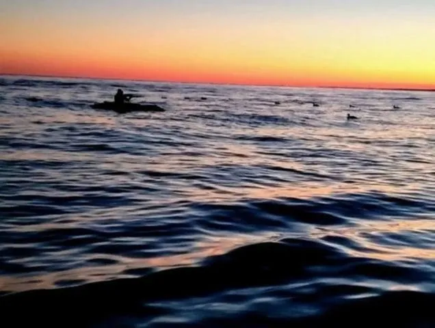 Slide: The Image of Waterfowl Works SINGLE LAYOUT BOAT 2025 - 19