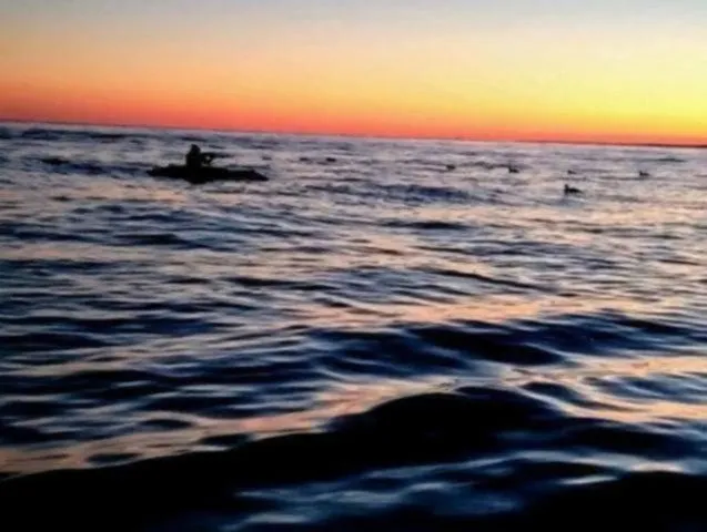 Slide: The Image of Waterfowl Works SINGLE LAYOUT BOAT 2025 - 59