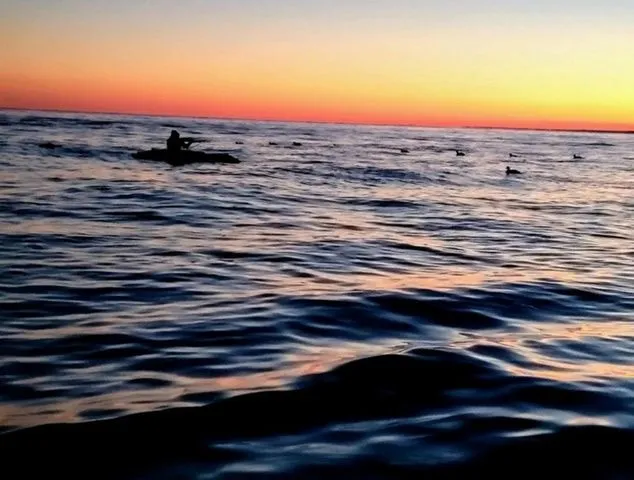 Slide: The Image of Waterfowl Works SINGLE LAYOUT BOAT 2025 - 7