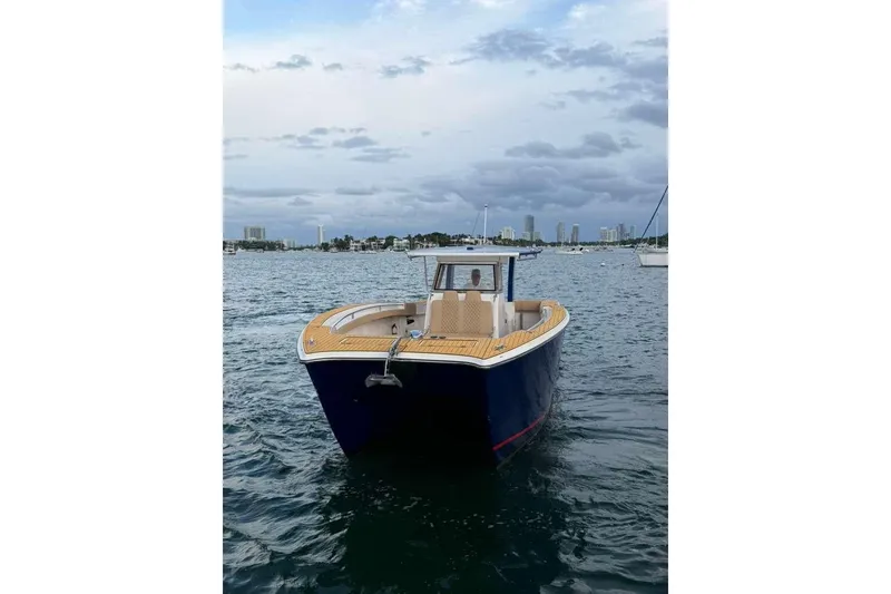 Slide: The Image of Custom 2024 Catamaran SET CAT on water, city skyline in background. - 18