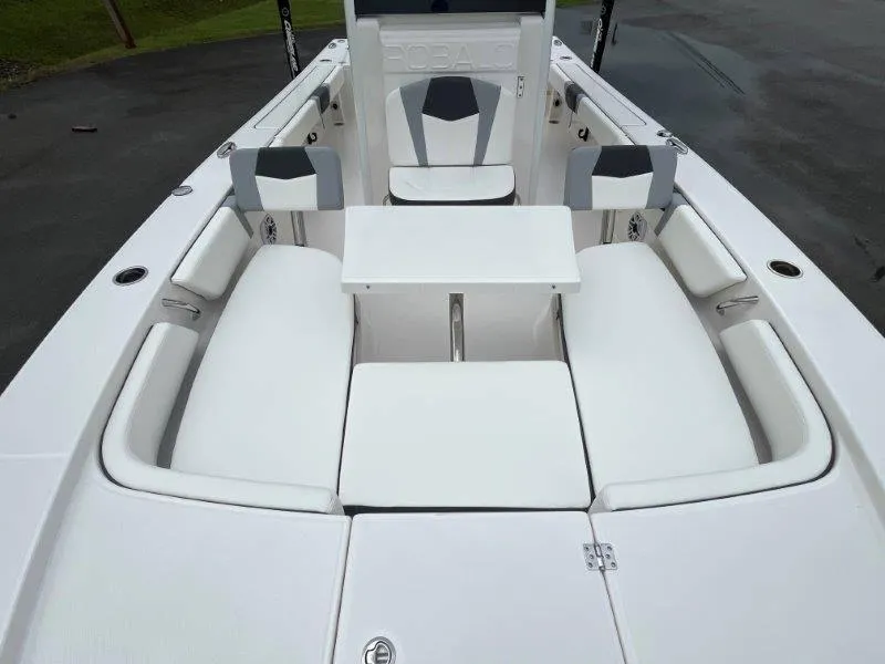 Slide: The Image of Robalo 246 Cayman 2025 - 115