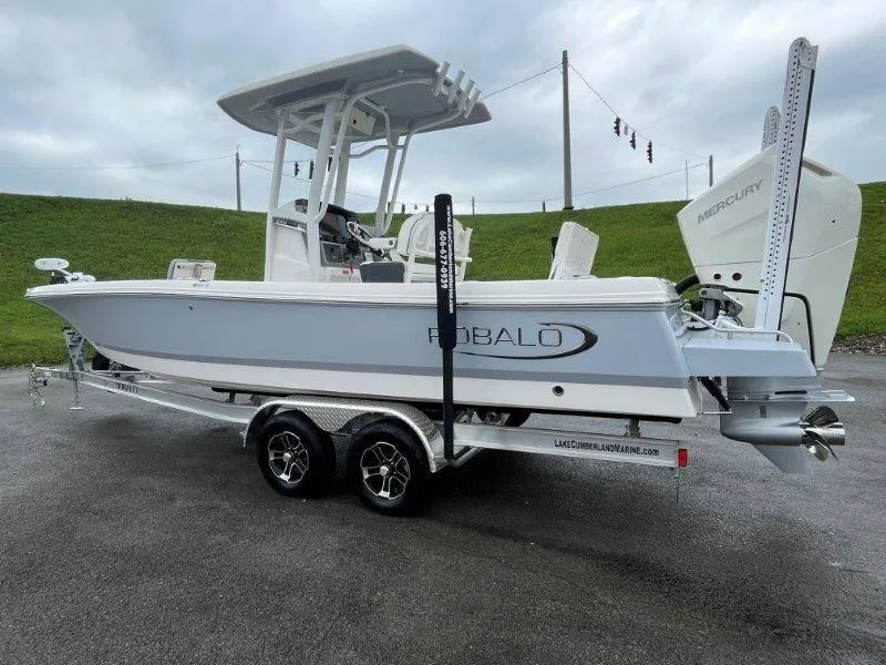 Slide: The Image of Robalo 246 Cayman 2025 - 30