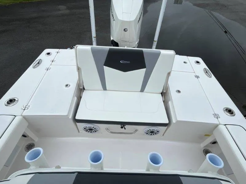 Slide: The Image of Robalo 246 Cayman 2025 - 70