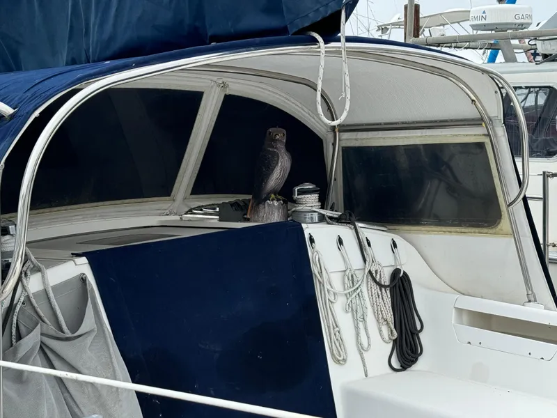 Slide: The Image of 2005 Catalina 34 Mk II sailboat cockpit with ropes and owl statue. - 5