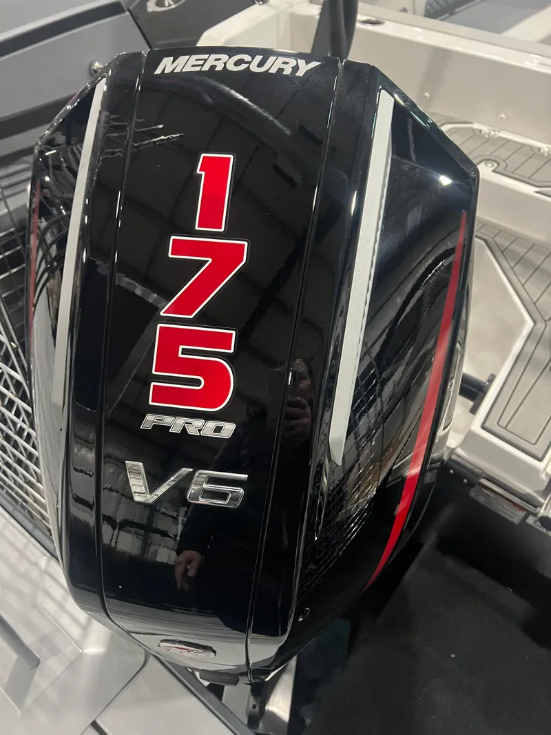 The Image of Starcraft SVX 211 OB 2025 - 0