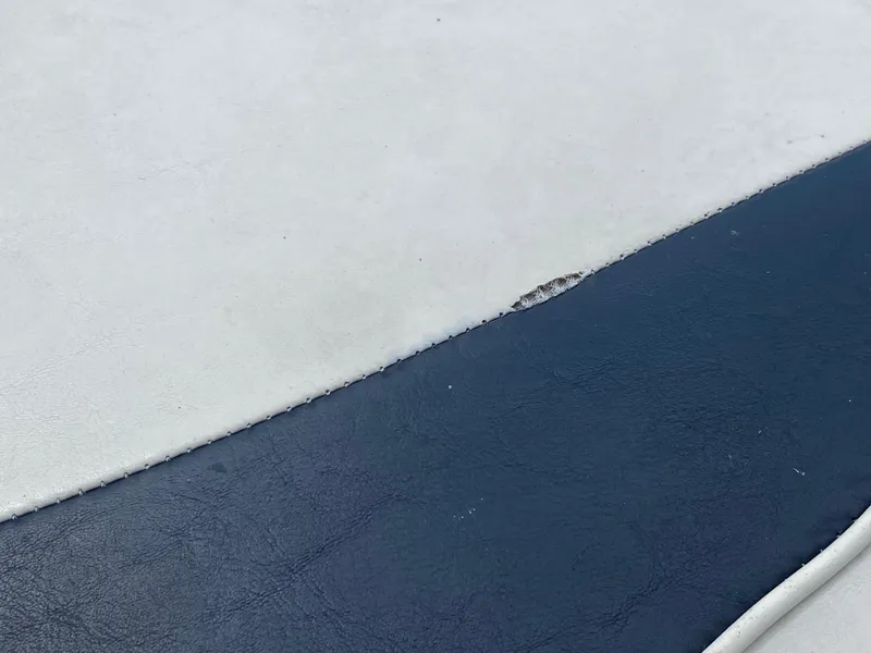 Slide: The Image of Close-up of 2007 Aloha Pontoon PS 220 TT seat with small tear in upholstery. - 16