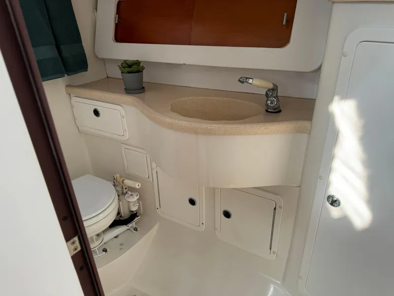 Slide: The Image of Forward Head - 32