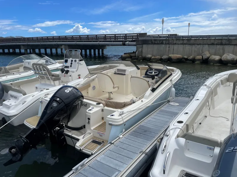 Slide: The Image of Scout 215 Dorado 2022 - 2