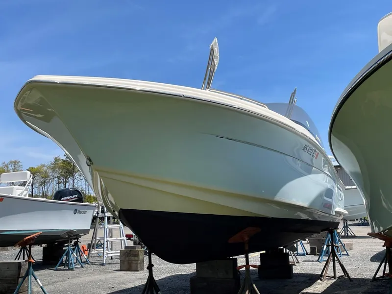 Slide: The Image of Scout 215 Dorado 2022 - 3