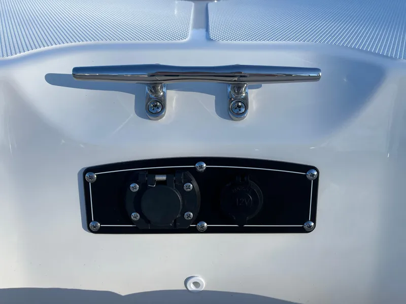 Slide: The Image of 2025 Boston Whaler 210 Montauk boat cleat and electrical panel detail. - 15