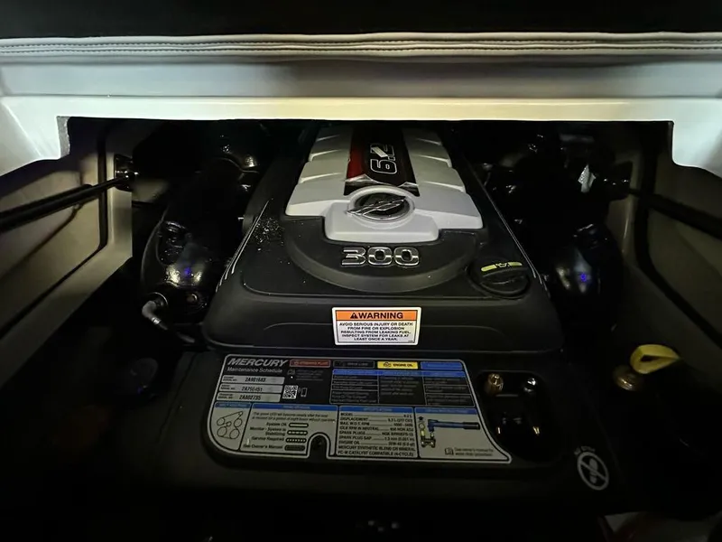 Slide: The Image of Crownline Boats 260 SS 2025 - 23