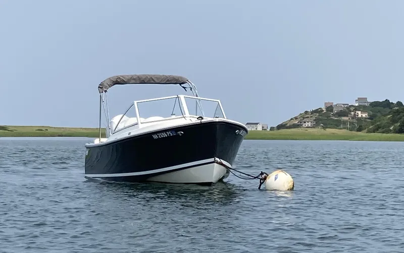 Slide: The Image of 2019 Eastern 21 Pilot boat moored on calm water near coastal homes. - 28
