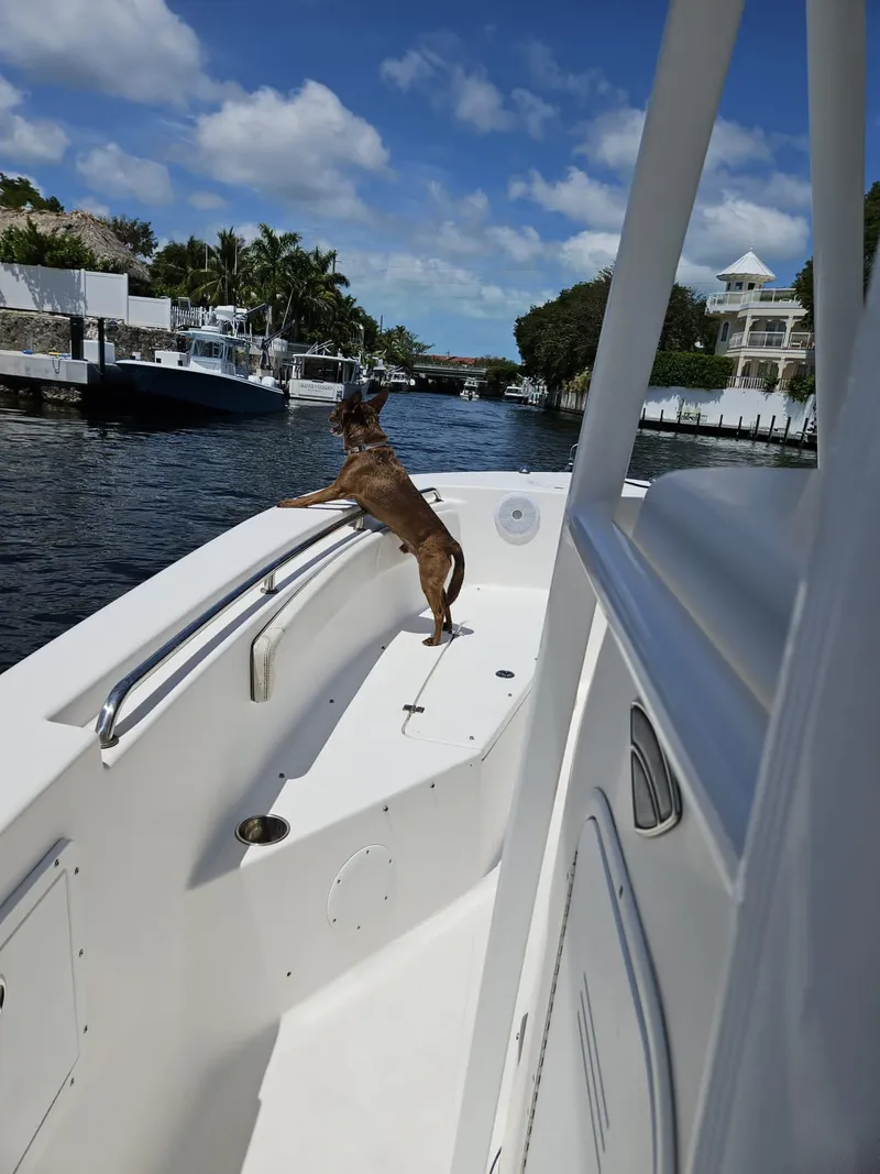Slide: The Image of Dog on 2013 Tidewater 250 CC Adventure boat enjoying a scenic canal view. - 10