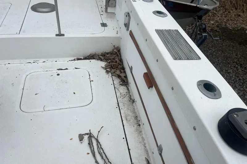 Slide: The Image of 1973 Bertram 28 Flybridge Cruiser deck with leaves and debris. - 49