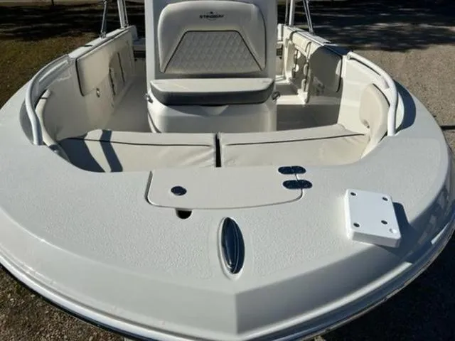 Slide: The Image of Stingray 173 CC 2024 - 4