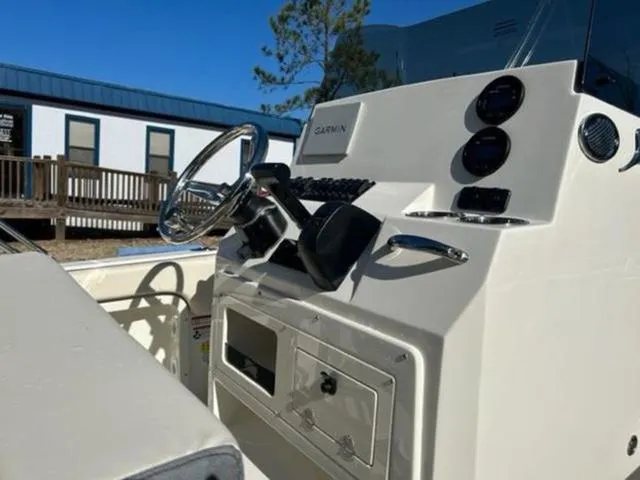 Slide: The Image of Stingray 173 CC 2024 - 7