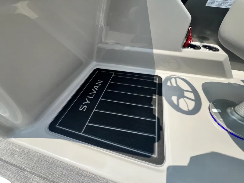 Slide: The Image of Sylvan L-3 CLZ DH Tritoon 2025 - 11