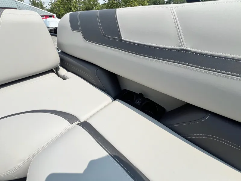 Slide: The Image of Sylvan L-3 CLZ DH Tritoon 2025 - 30