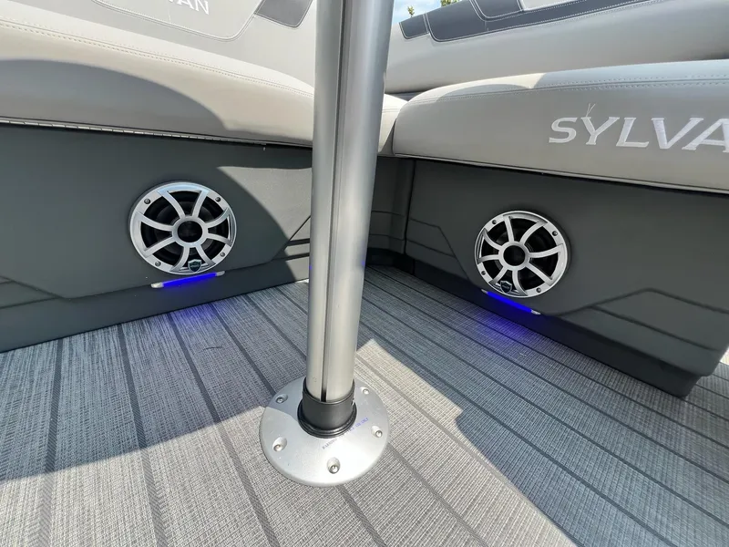 Slide: The Image of Sylvan L-3 CLZ DH Tritoon 2025 - 41