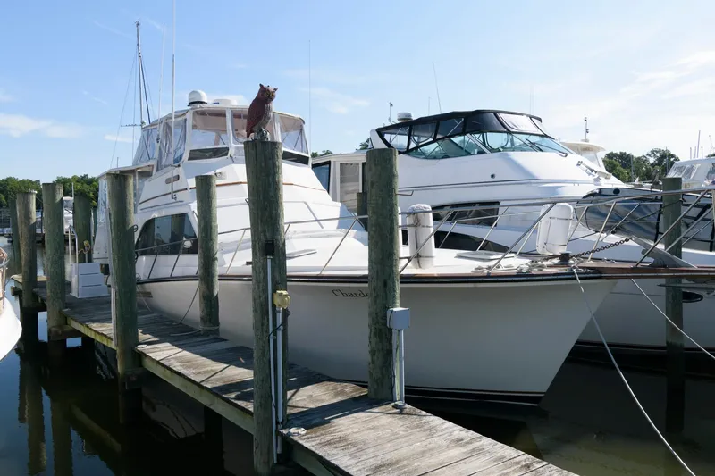 Slide: The Image of 1985 Ocean Yachts 46 Aft Cabin Motor Yacht docked at marina. - 3
