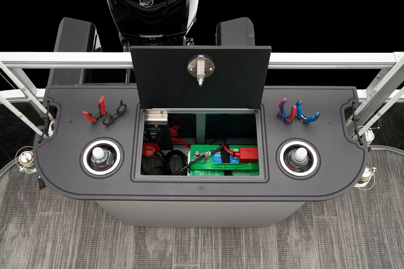 Slide: The Image of Ranger Reata 223F 2024 - 59