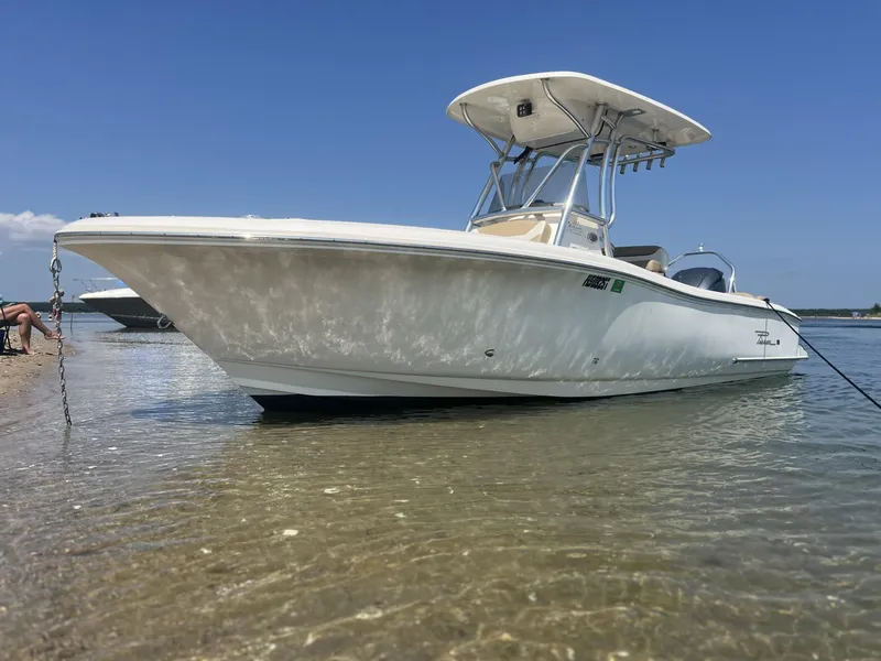 The Image of 2018 Pioneer 222 Islander boat anchored on a sandy shore under a clear blue sky. - 0