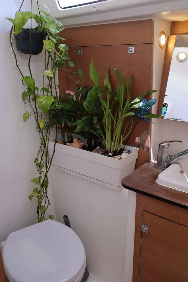 Slide: The Image of Head - 12