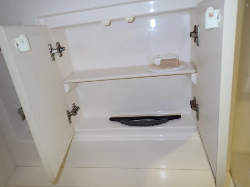 Slide: The Image of Carver 370 Voyager 1996 - 101