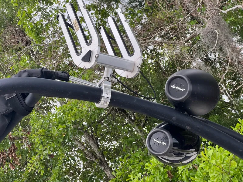 Slide: The Image of Scarab 215 2014 - 21