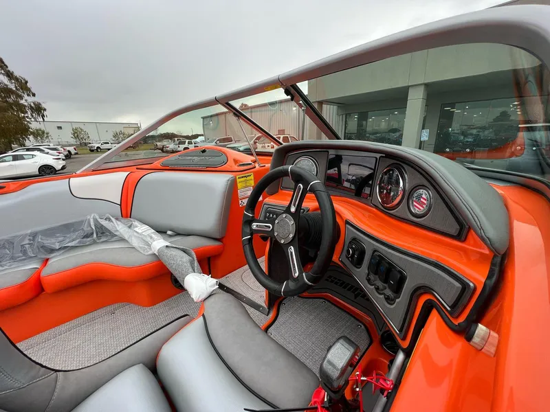 Slide: The Image of Sanger V215 SX 2023 - 18