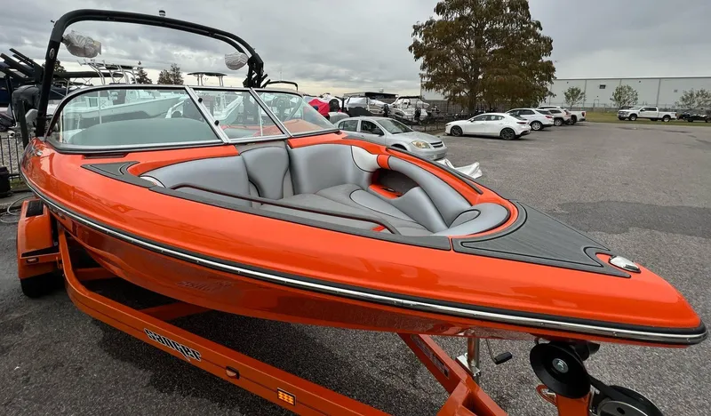 Slide: The Image of Sanger V215 SX 2023 - 28