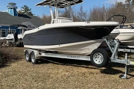 The Image of 2025 Robalo 200 CC boat on trailer, parked on grass near a blue building. - 2