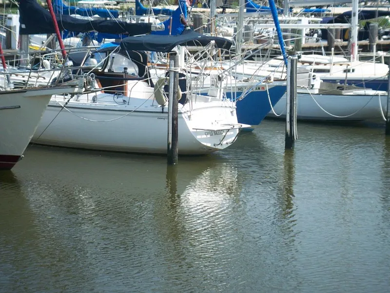 Slide: The Image of Stern showing swim step - 4