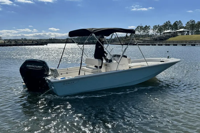 Slide: The Image of Boston Whaler 170 Montauk 2025 - 13
