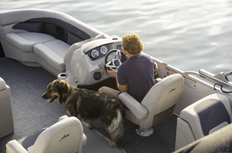 Slide: The Image of Image 4 - 4