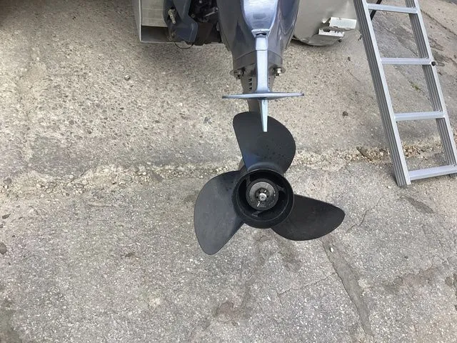 Slide: The Image of Godfrey Sweetwater 2386 C 2019 - 5