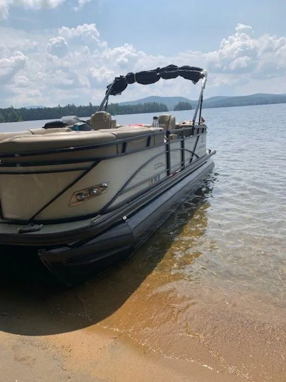 The Image of 2020 Regency 230 DL3 pontoon boat on a sandy lakeshore under a cloudy sky. - 1