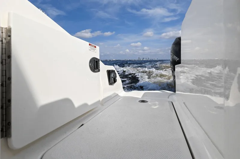 Slide: The Image of Sea Ray 290 SDX OUTBOARD 2017 - 43