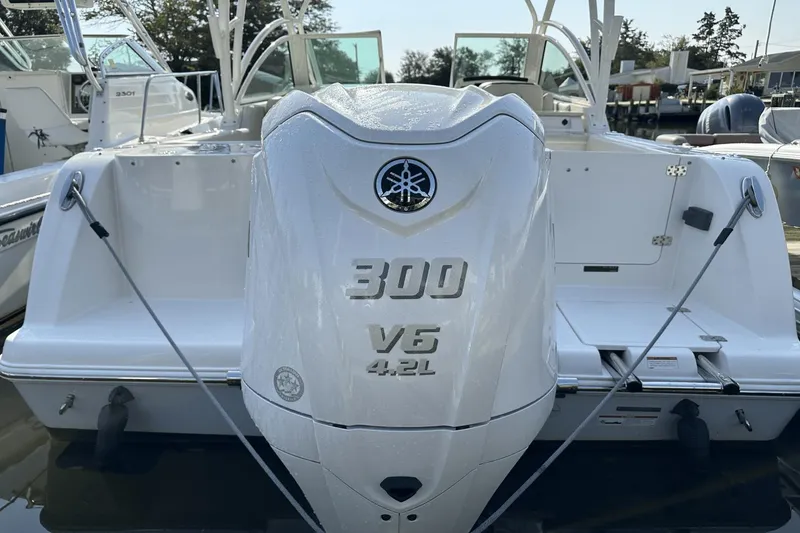 Slide: The Image of Sailfish 245 DC 2023 - 2
