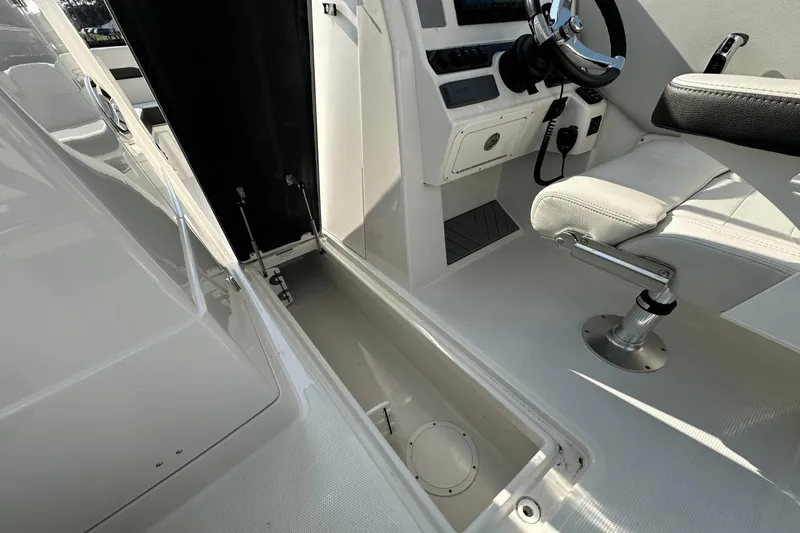Slide: The Image of Sailfish 245 DC 2023 - 25
