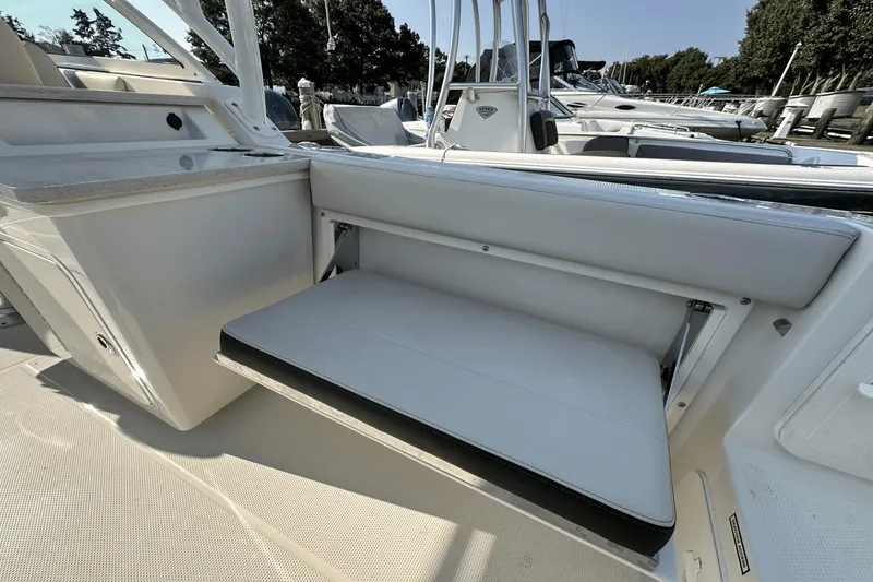 Slide: The Image of Sailfish 245 DC 2023 - 8
